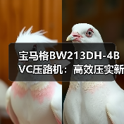 宝马格BW213DH-4BVC压路机：高效压实新选择（图3）