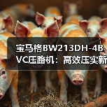 宝马格BW213DH-4BVC压路机：高效压实新选择（图1）