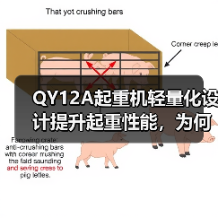 QY12A起重机轻量化设计提升起重性能,为何成为首选?(图1) QY12A起重机轻量化设计提升起重性能,为何成为首选?(图1)