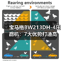 宝马格BW213DH-4压路机:7大优势打造高效施工体验(图1) 宝马格BW213DH-4压路机:7大优势打造高效施工体验(图1)