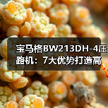宝马格BW213DH-4压路机:7大优势打造高效施工体验(图2) 宝马格BW213DH-4压路机:7大优势打造高效施工体验(图2)
