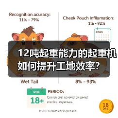 12吨起重能力的起重机如何提升工地效率?(图3) 12吨起重能力的起重机如何提升工地效率?(图3)