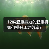 12吨起重能力的起重机如何提升工地效率?(图1) 12吨起重能力的起重机如何提升工地效率?(图1)