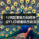 12吨起重能力如何选?QY12D起重机性能深度解析(图4) 12吨起重能力如何选?QY12D起重机性能深度解析(图4)