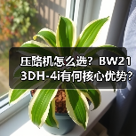 压路机怎么选?BW213DH-4i有何核心优势?(图1) 压路机怎么选?BW213DH-4i有何核心优势?(图1)