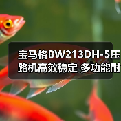 宝马格BW213DH-5压路机高效稳定 多功能耐用为何受青睐（图2）