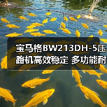 宝马格BW213DH-5压路机高效稳定 多功能耐用为何受青睐（图1）