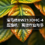 宝马格BW213DHC-4压路机：高效作业与节能环保优势解析（图4）