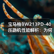 宝马格BW213PD-40压路机性能解析：为何选择这款高性能设备？（图4）