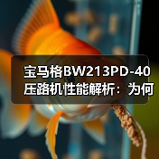 宝马格BW213PD-40压路机性能解析：为何选择这款高性能设备？（图3）