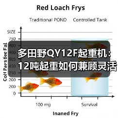 多田野QY12F起重机：12吨起重如何兼顾灵活与高效？（图4）