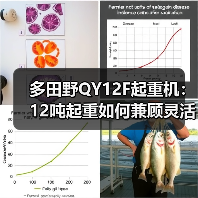 多田野QY12F起重机：12吨起重如何兼顾灵活与高效？（图2）