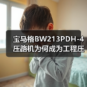 宝马格BW213PDH-4压路机为何成为工程压实首选？（图3）