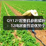QY12F起重机参数解析：12吨起重性能优势全解读（图1）