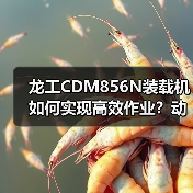 龙工CDM856N装载机如何实现高效作业？动力系统全解析（图3）