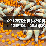 QY12F起重机参数解析：12吨载重+28.5米高度，如何提升施工效率？（图2）