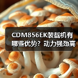 CDM856EK装载机有哪些优势?动力强劲高效稳定(图1) CDM856EK装载机有哪些优势?动力强劲高效稳定(图1)