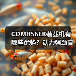 CDM856EK装载机有哪些优势?动力强劲高效稳定(图4) CDM856EK装载机有哪些优势?动力强劲高效稳定(图4)
