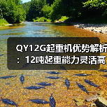 QY12G起重机优势解析:12吨起重能力灵活高效节能(图4) QY12G起重机优势解析:12吨起重能力灵活高效节能(图4)