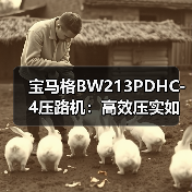 宝马格BW213PDHC-4压路机：高效压实如何兼顾动力与节能？（图3）