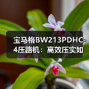 宝马格BW213PDHC-4压路机：高效压实如何兼顾动力与节能？（图4）