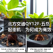北方交通QY12F-五岳起重机：为何成为高效安全起重首选？（图2）