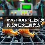 BW214DH-4压路机为何成为压实工程优选?(图4) BW214DH-4压路机为何成为压实工程优选?(图4)