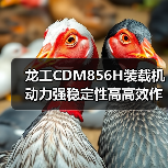 龙工CDM856H装载机动力强稳定性高高效作业优势(图4) 龙工CDM856H装载机动力强稳定性高高效作业优势(图4)