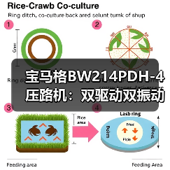 宝马格BW214PDH-4压路机:双驱动双振动轮,高效稳定压实解决方案(图1) 宝马格BW214PDH-4压路机:双驱动双振动轮,高效稳定压实解决方案(图1)