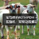 宝马格BW214PDH-4压路机:双驱动双振动轮,高效稳定压实解决方案(图4) 宝马格BW214PDH-4压路机:双驱动双振动轮,高效稳定压实解决方案(图4)