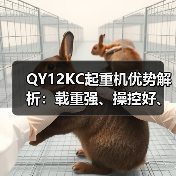 QY12KC起重机优势解析:载重强、操控好、安全可靠(图3) QY12KC起重机优势解析:载重强、操控好、安全可靠(图3)