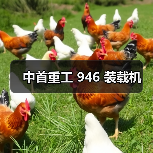 中首重工 946 装载机（图1）
