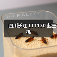 四川长江 LT1130 起重机（图2）