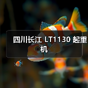 四川长江 LT1130 起重机（图1）