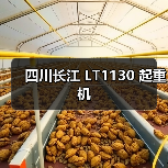 四川长江 LT1130 起重机（图4）