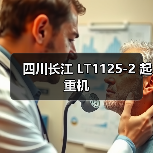 四川长江 LT1125-2 起重机(图4) 四川长江 LT1125-2 起重机(图4)