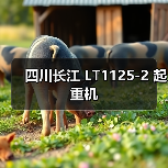 四川长江 LT1125-2 起重机(图2) 四川长江 LT1125-2 起重机(图2)