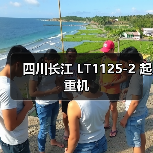 四川长江 LT1125-2 起重机(图1) 四川长江 LT1125-2 起重机(图1)