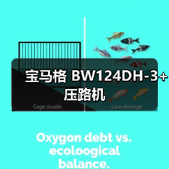 宝马格 BW124DH-3+ 压路机(图1) 宝马格 BW124DH-3+ 压路机(图1)