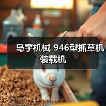 岛宇机械 946型抓草机 装载机(图2) 岛宇机械 946型抓草机 装载机(图2)