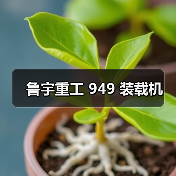 鲁宇重工 949 装载机(图1) 鲁宇重工 949 装载机(图1)