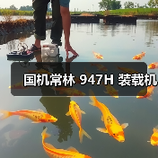 国机常林 947H 装载机(图4) 国机常林 947H 装载机(图4)
