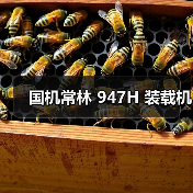 国机常林 947H 装载机(图1) 国机常林 947H 装载机(图1)