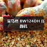 宝马格 BW124DH 压路机(图1) 宝马格 BW124DH 压路机(图1)