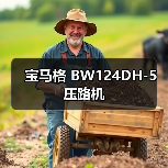 宝马格 BW124DH-5 压路机（图2）