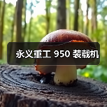 永义重工 950 装载机(图4) 永义重工 950 装载机(图4)