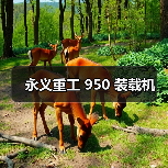 永义重工 950 装载机(图2) 永义重工 950 装载机(图2)
