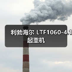 利勃海尔 LTF1060-4.1 起重机（图4）