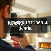 利勃海尔 LTF1060-4.1 起重机（图3）