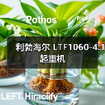 利勃海尔 LTF1060-4.1 起重机（图1）